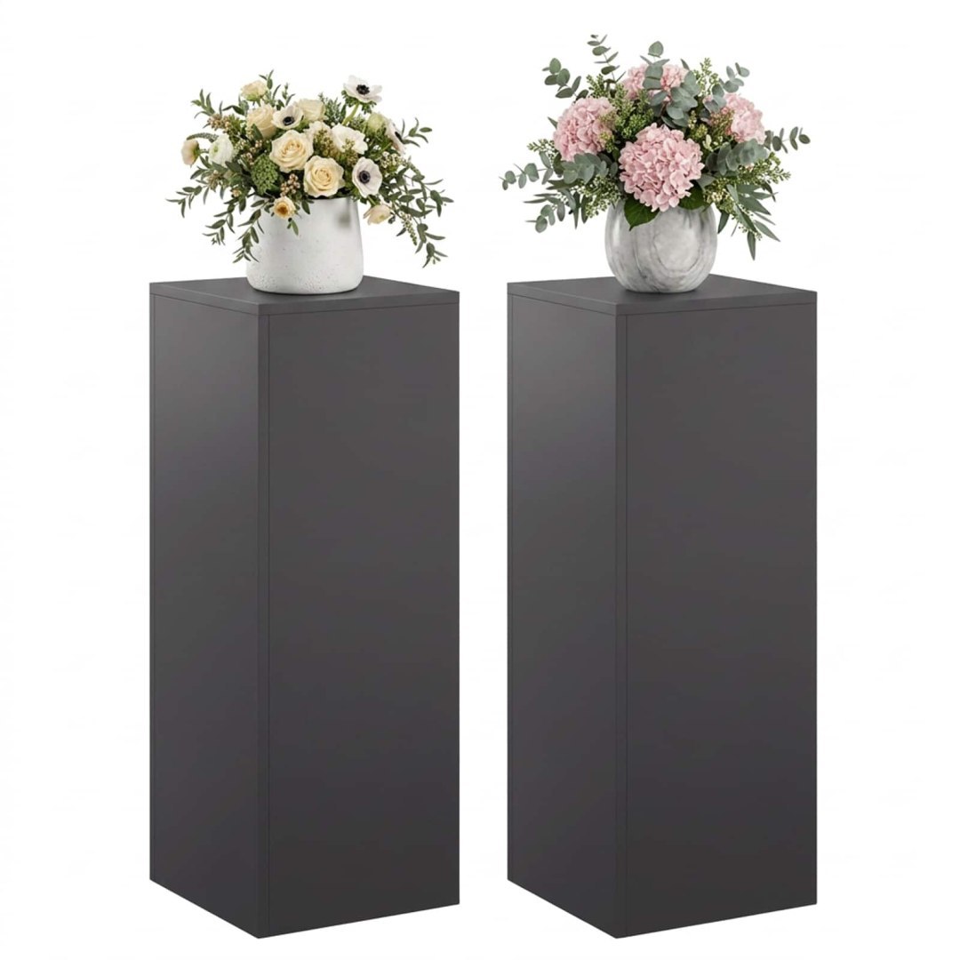 Stojak na rośliny 2 pcs Czarny 30 x 30 x 80 cm Stal